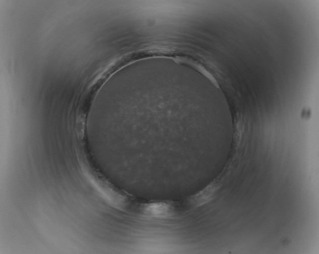 X0000111440168200907131314