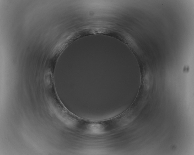 X0000111440169200907131314