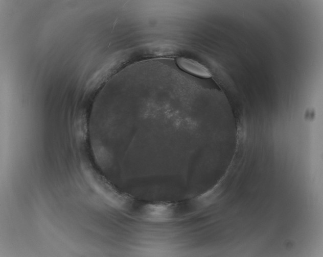 X0000111440170200907131314