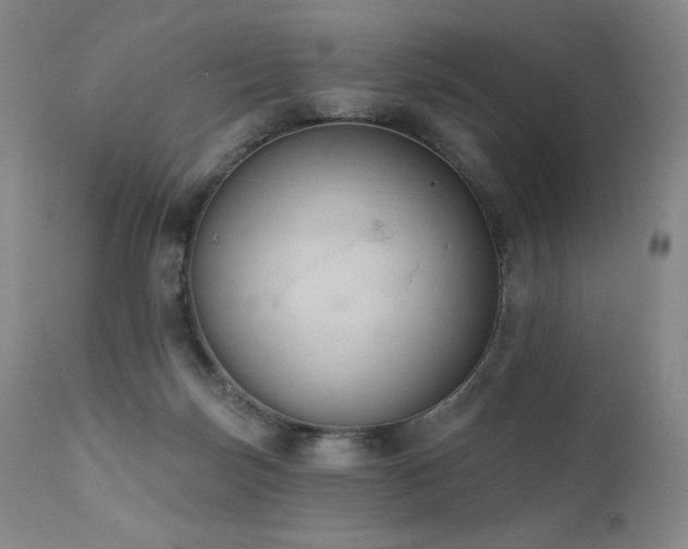 X0000111440171200907131314