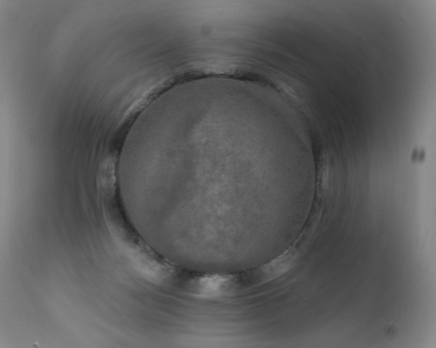 X0000111440172200907131314