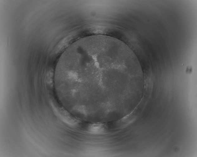 X0000111440175200907131314