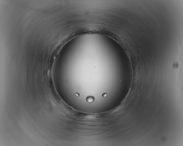 X0000111440176200907131314