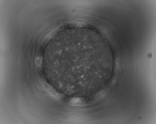 X0000111440177200907131314