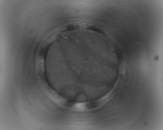 X0000111440178200907131314