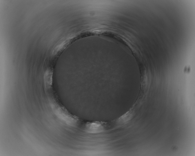 X0000111440180200907131314