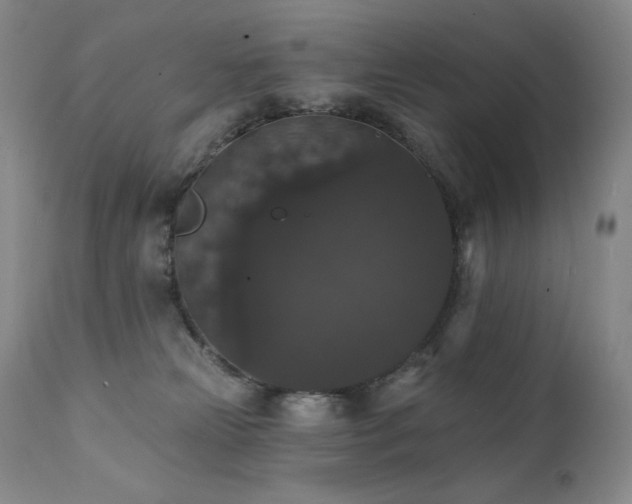 X0000111440181200907131314
