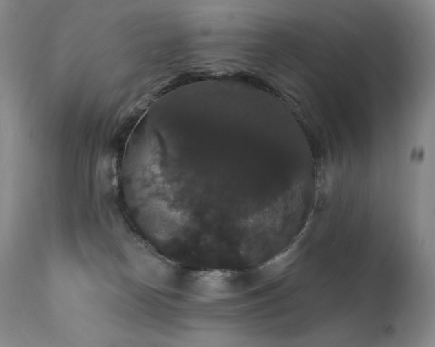 X0000111440182200907131314