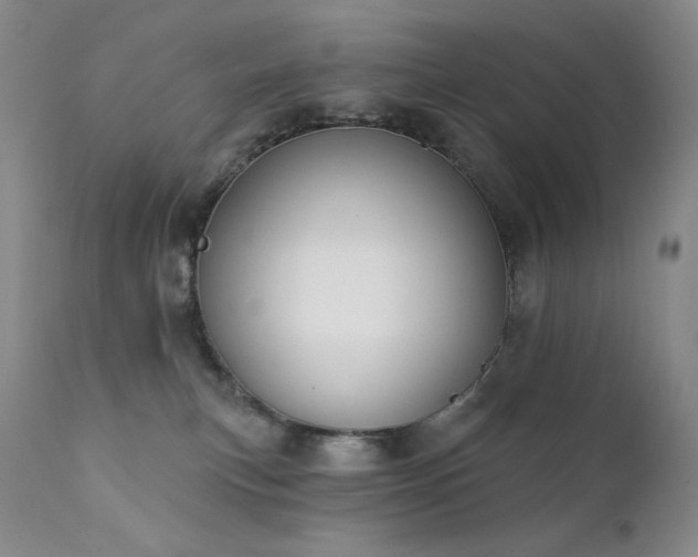 X0000111440183200907131314