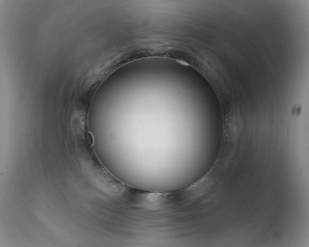 X0000111440184200907131314