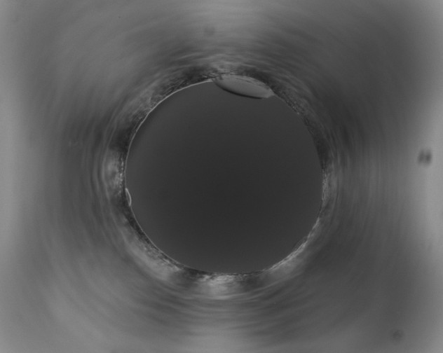 X0000111440186200907131314