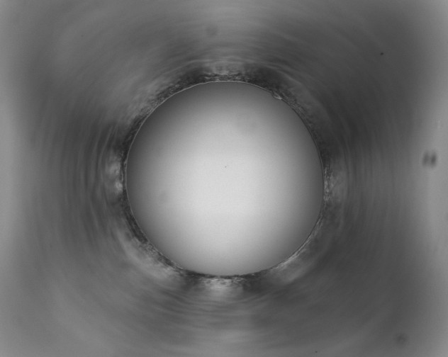 X0000111440187200907131314