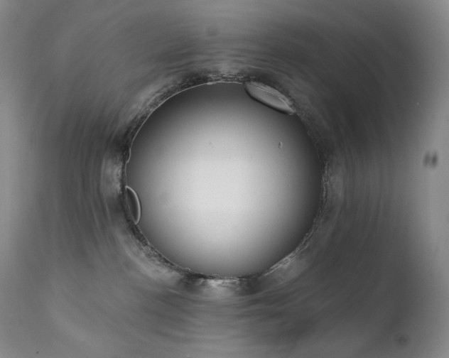 X0000111440188200907131314