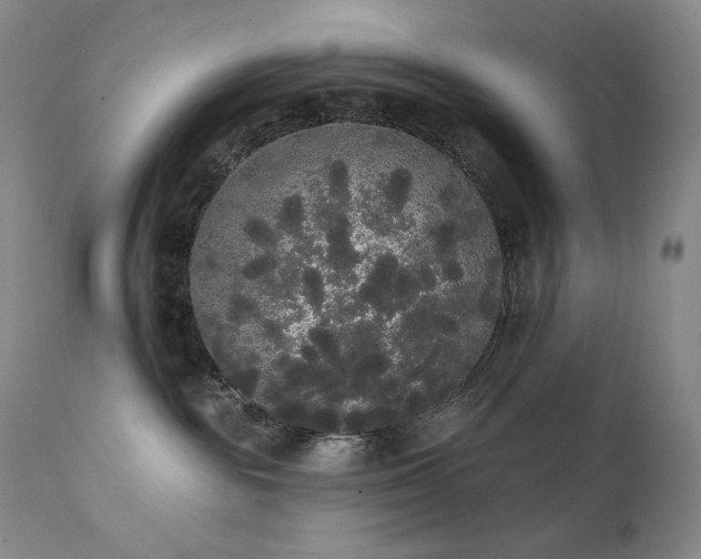 X0000111440189200907131314