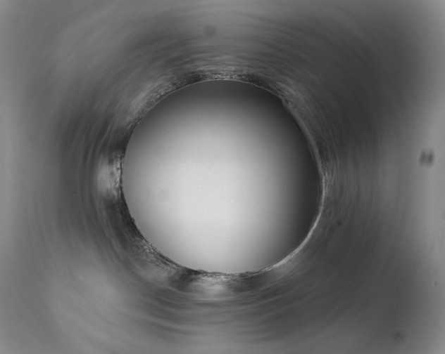 X0000111440190200907131314