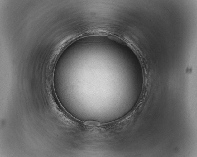 X0000111440193200907131314