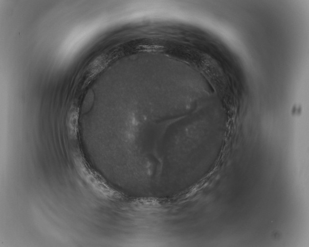 X0000111440194200907131314