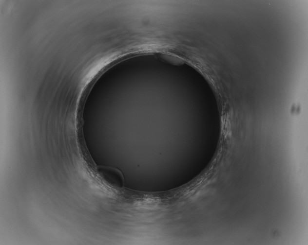 X0000111440196200907131314