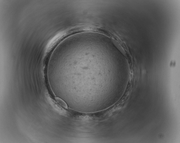 X0000111440197200907131314