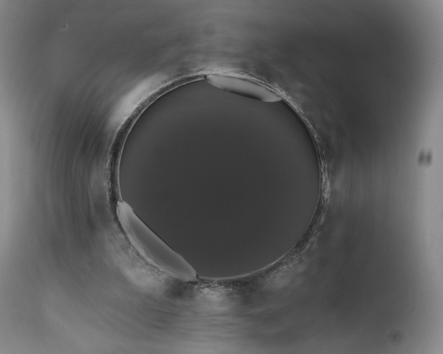 X0000111440199200907131313