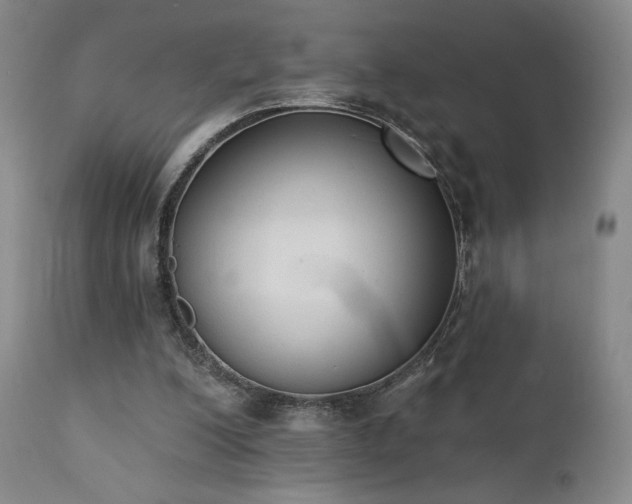 X0000111440200200907131313