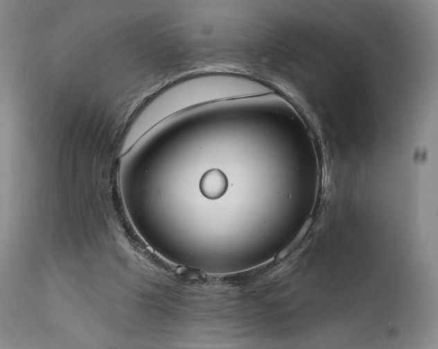 X0000111440201200907131313
