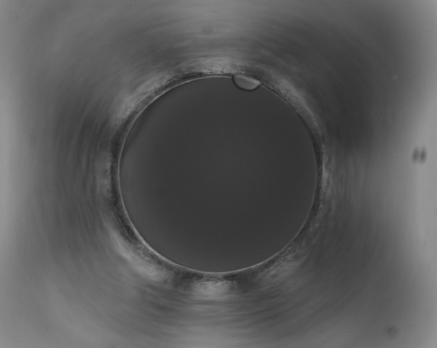 X0000111440202200907131313