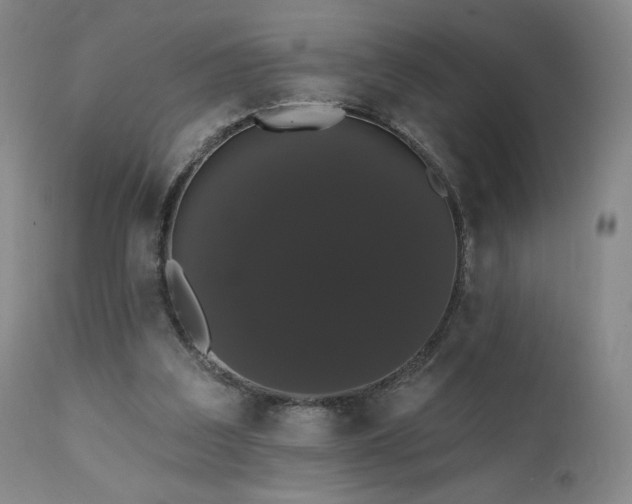 X0000111440203200907131313
