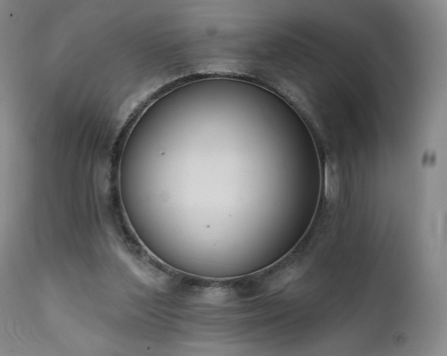 X0000111440204200907131313