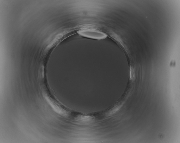 X0000111440205200907131313