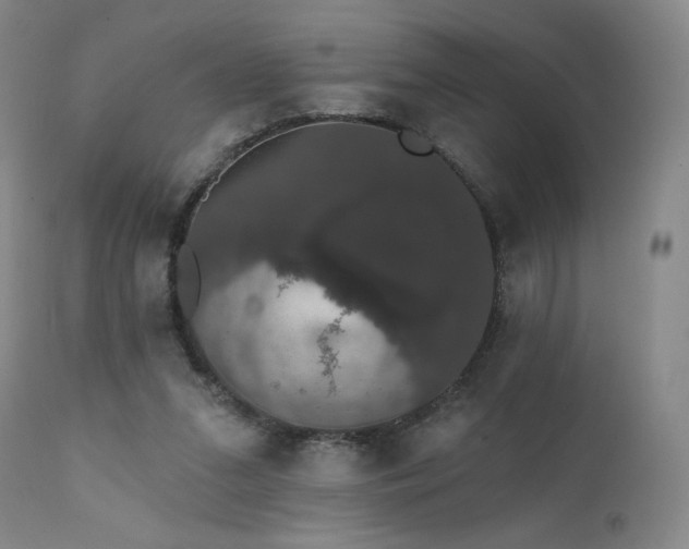 X0000111440207200907131313