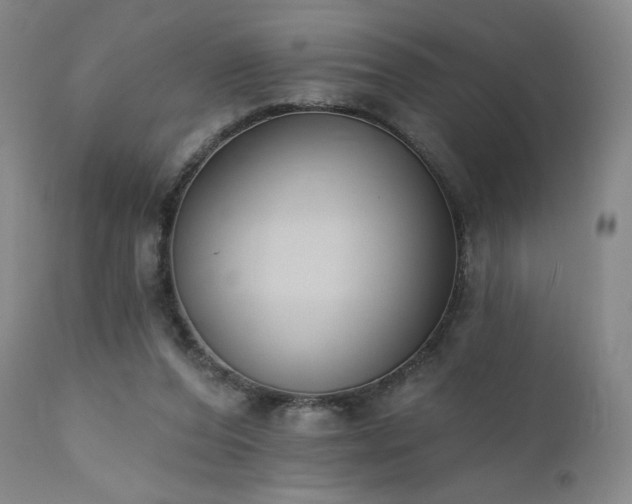 X0000111440208200907131313