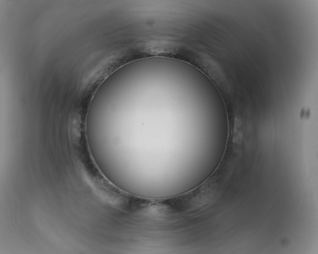 X0000111440210200907131313