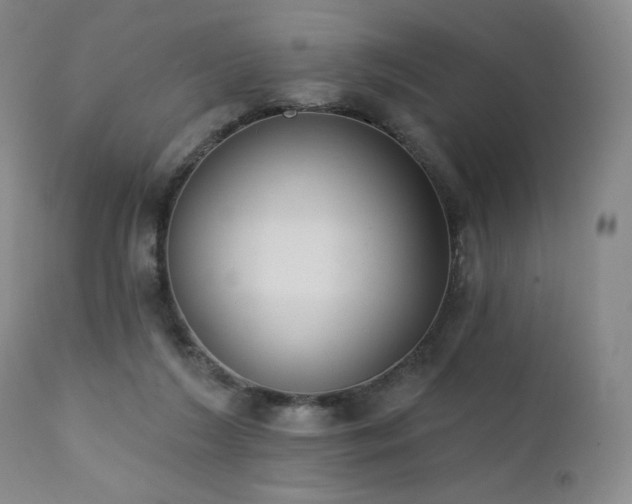 X0000111440212200907131313