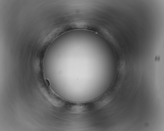 X0000111440213200907131313