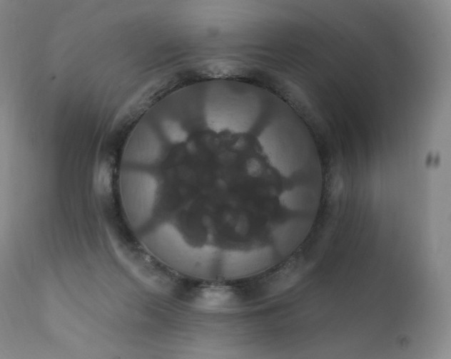 X0000111440214200907131313