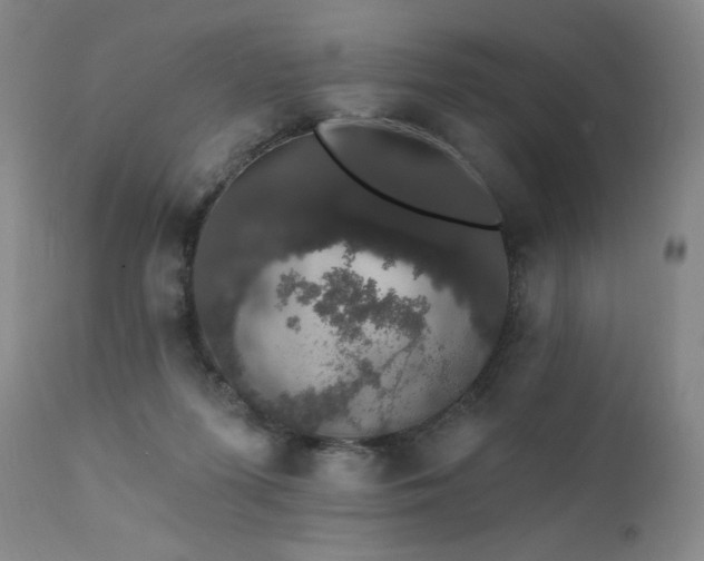 X0000111440215200907131313