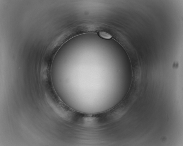 X0000111440216200907131313