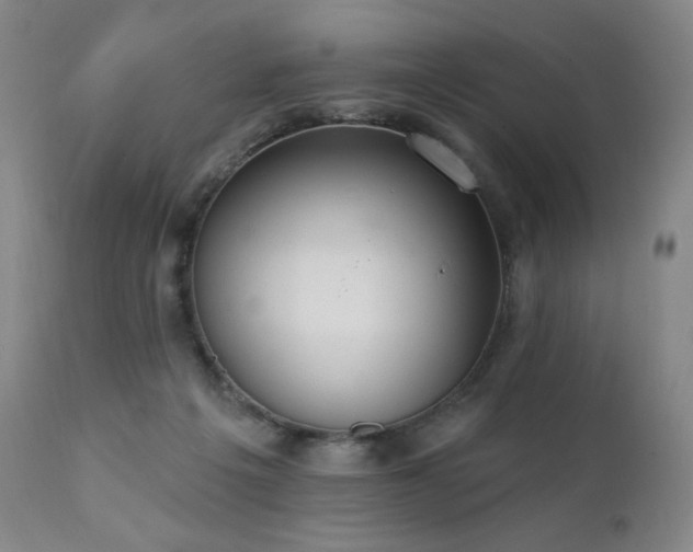 X0000111440217200907131313