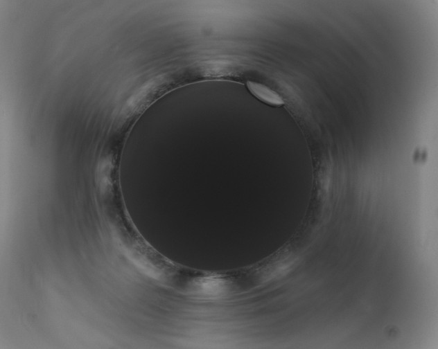 X0000111440219200907131313