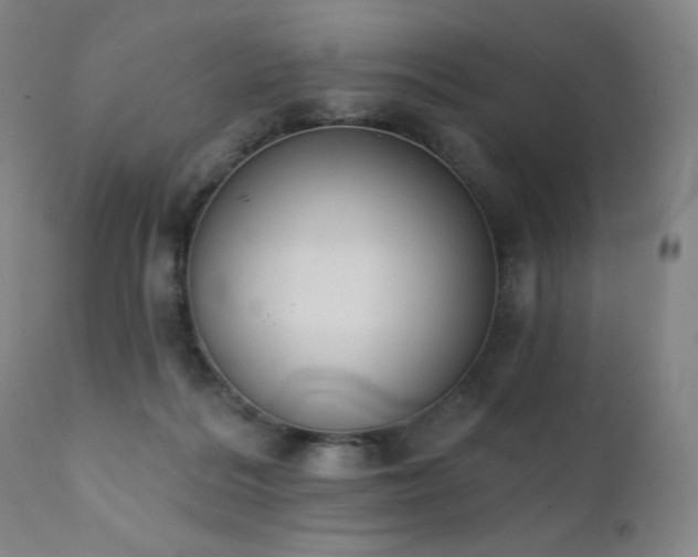 X0000111440220200907131313