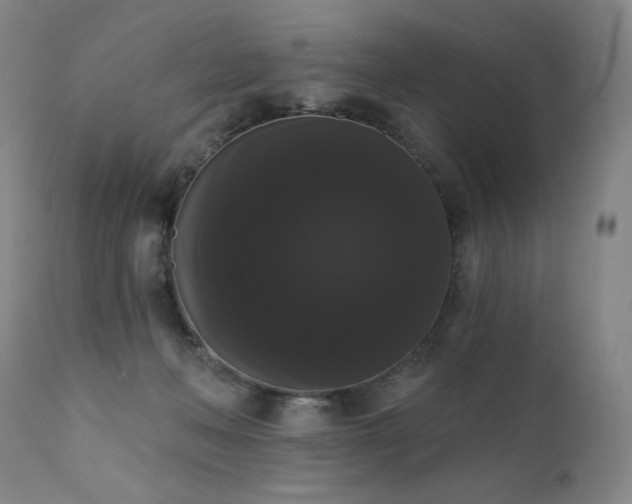 X0000111440222200907131313