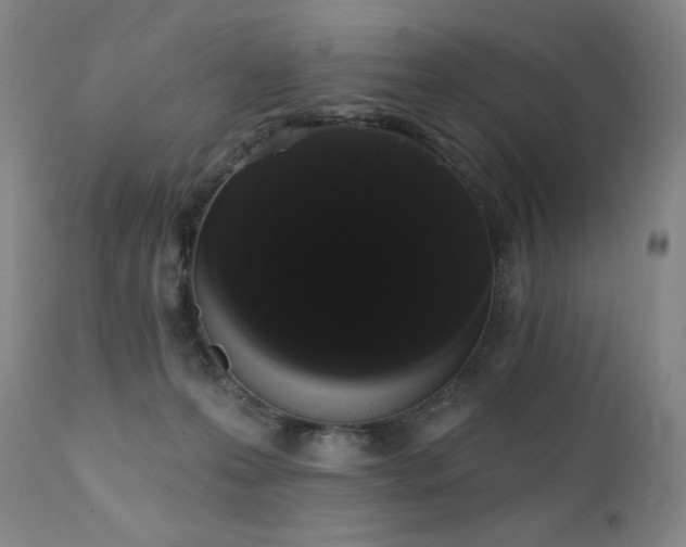 X0000111440223200907131313