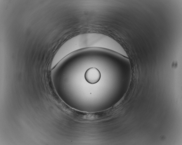 X0000111440225200907131313