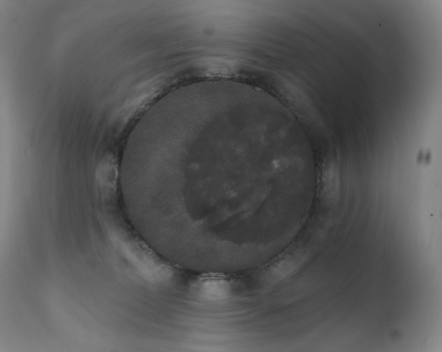 X0000111440228200907131313
