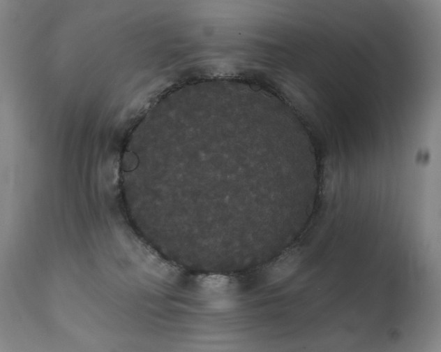 X0000111440230200907131313