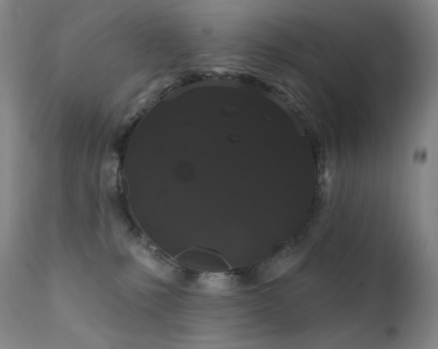 X0000111440231200907131313