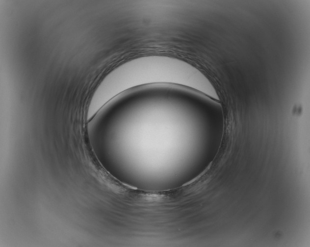 X0000111440233200907131313