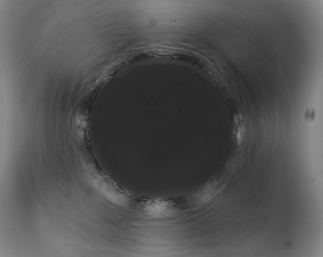 X0000111440235200907131313