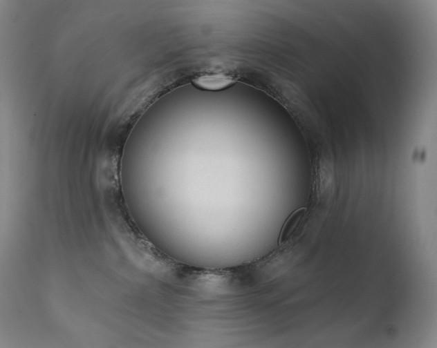 X0000111440236200907131313